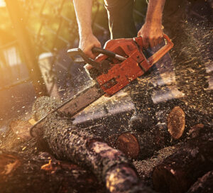 Chainsaw Al and Why Entrepreneurs Should Follow His Approach to Cost Cutting by Brian Califano